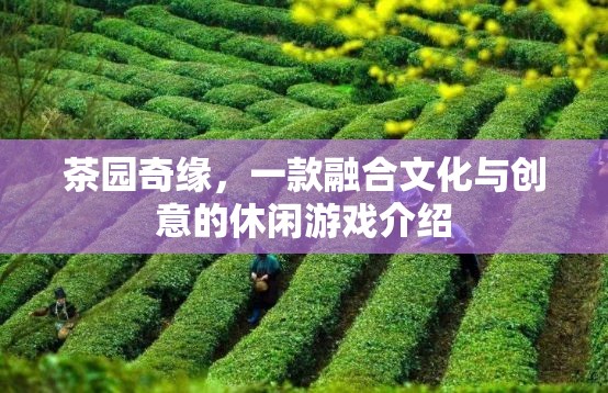 茶園奇緣，文化與創(chuàng)意的休閑游戲之旅