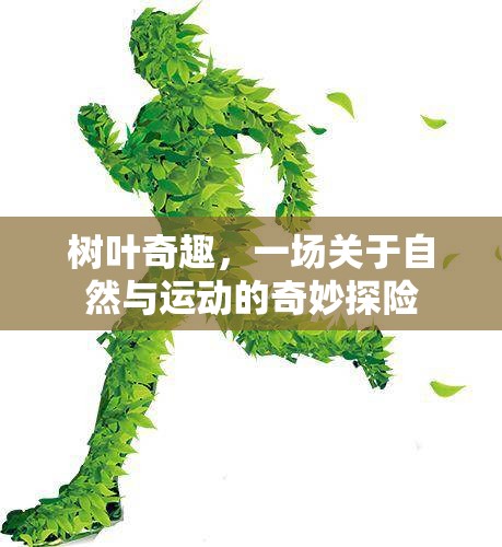 樹葉奇趣，一場自然與運(yùn)動的奇妙探險(xiǎn)