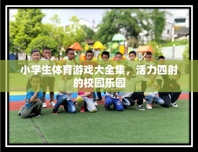 小學(xué)生體育游戲大全集，打造活力四射的校園樂園