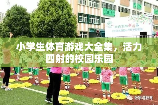 小學(xué)生體育游戲大全集，打造活力四射的校園樂園