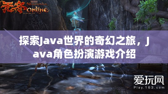 探索Java世界的奇幻之旅，揭秘Java角色扮演游戲