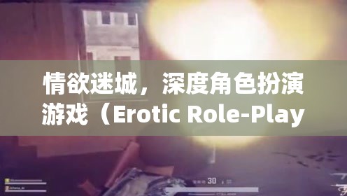 情欲迷城，深度角色扮演游戲（Erotic Role-Playing Game, 簡稱ERPG）