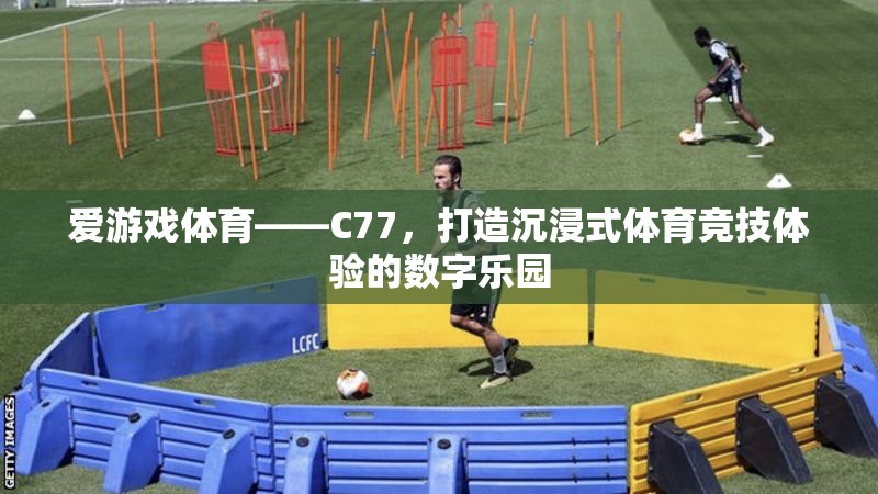 C77，愛游戲體育的數(shù)字樂園，打造沉浸式體育競(jìng)技新體驗(yàn)