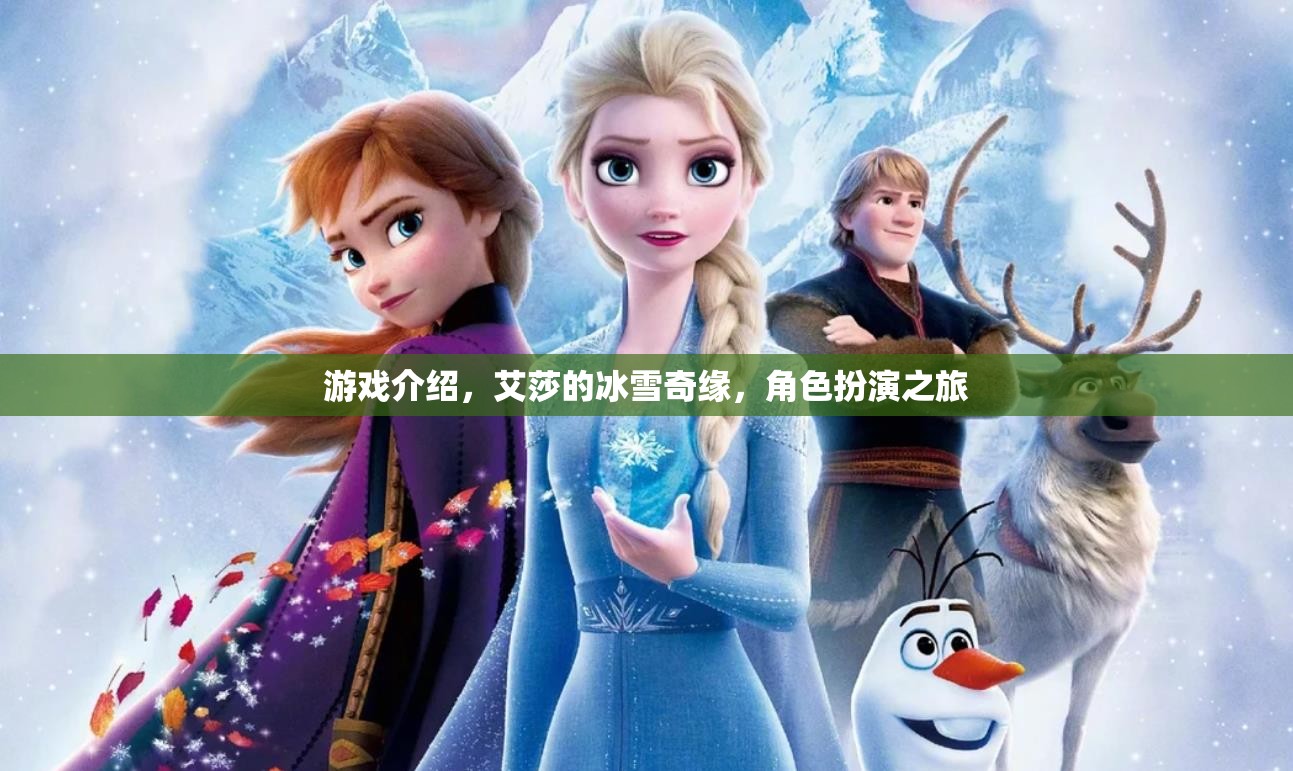 艾莎的冰雪奇緣，角色扮演之旅