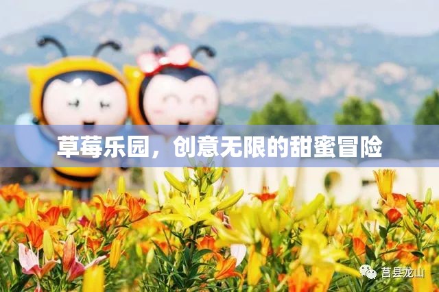 草莓樂園，創(chuàng)意無限的甜蜜冒險之旅