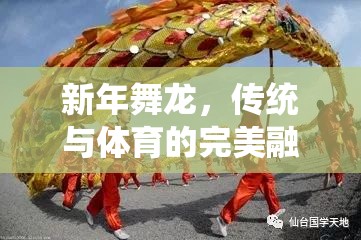 新年舞龍，傳統(tǒng)與體育的完美融合——一項創(chuàng)意體育游戲教案