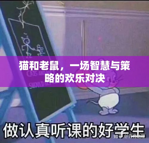 貓鼠智斗，歡樂對(duì)決中的智慧與策略