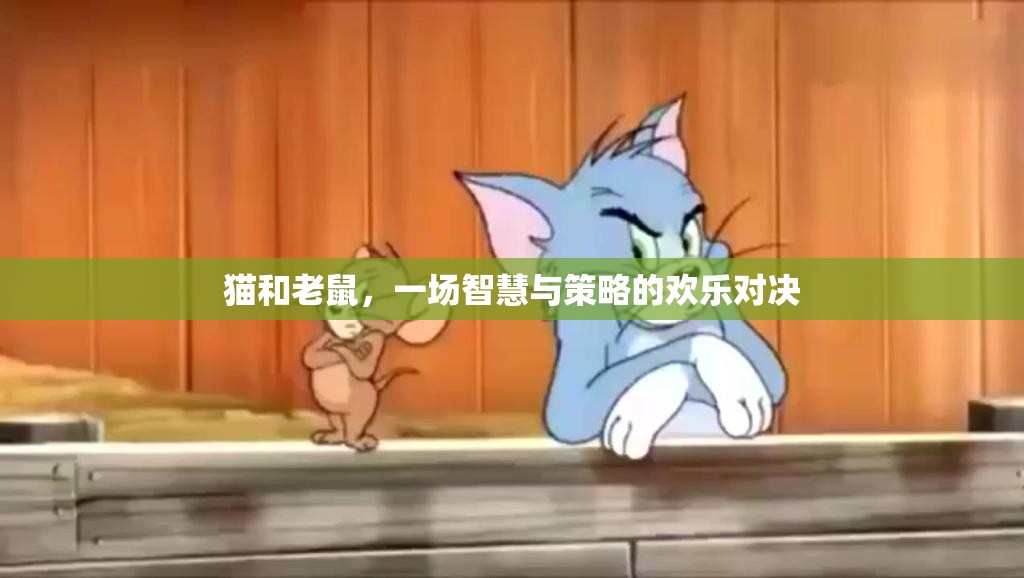 貓鼠智斗，歡樂對(duì)決中的智慧與策略