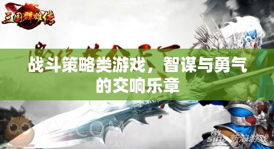 智謀與勇氣的交響，戰(zhàn)斗策略游戲