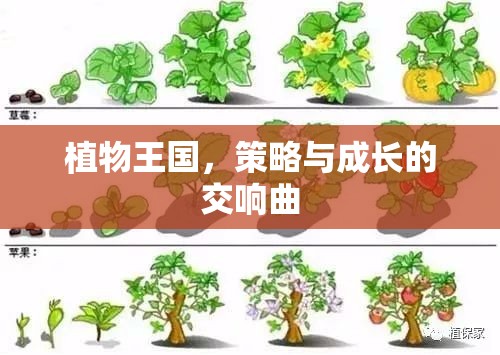 植物王國，策略與成長的交響曲