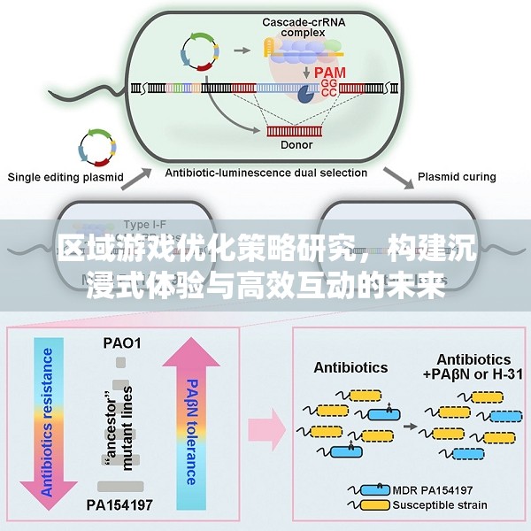 區(qū)域游戲優(yōu)化策略，打造沉浸式體驗與高效互動的未來