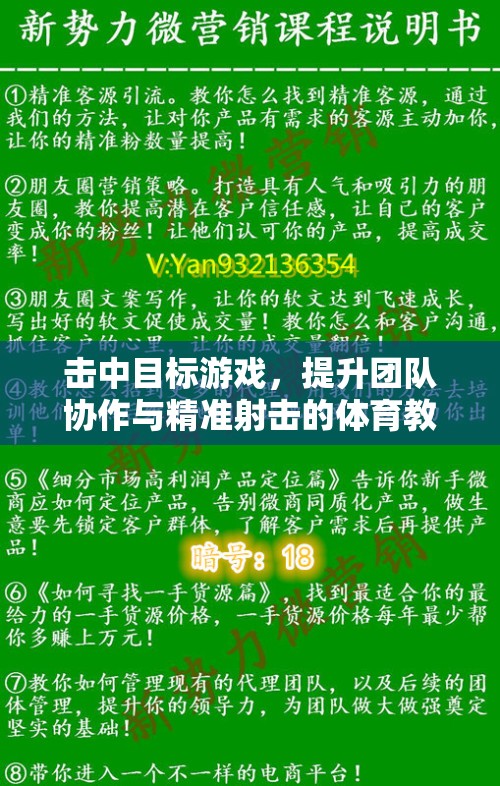 提升團隊協(xié)作與精準射擊，擊中目標體育教案設計