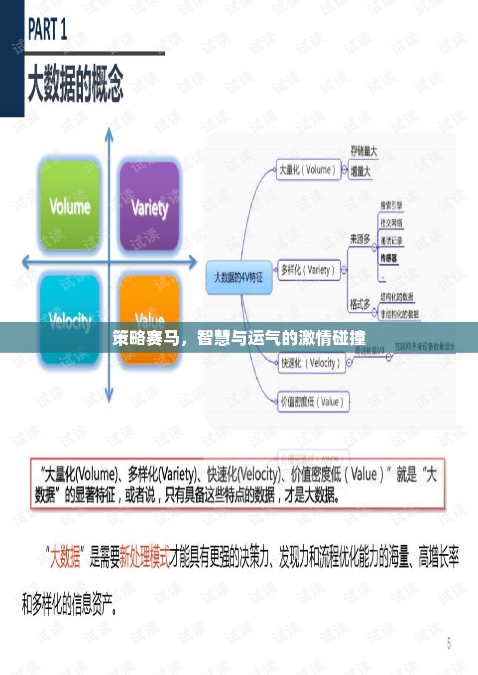 策略賽馬，智慧與運(yùn)氣的激情碰撞