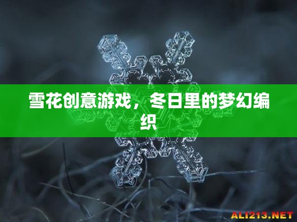 雪花創(chuàng)意游戲，冬日里的夢幻編織