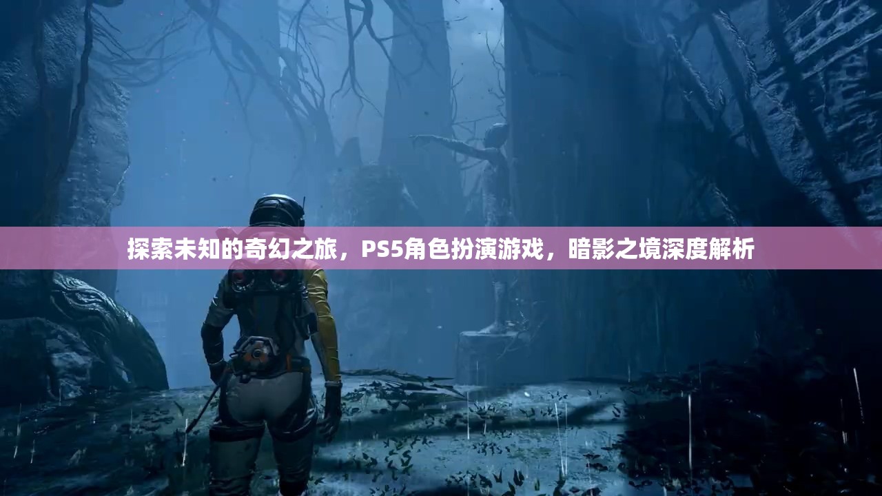 探索未知的奇幻之旅，PS5角色扮演游戲，暗影之境深度解析