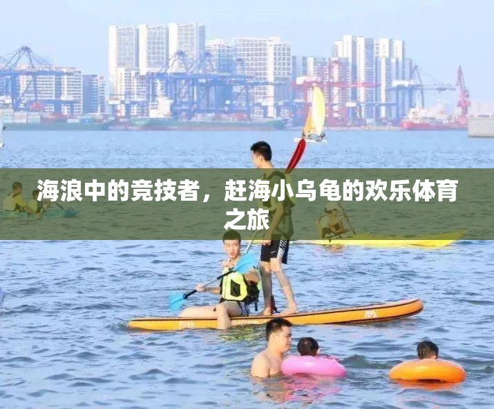 海浪中的競技者，趕海小烏龜?shù)臍g樂體育之旅