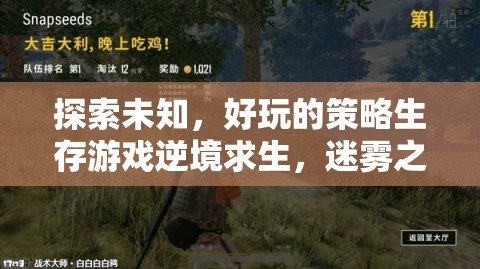 迷霧之地，逆境求生——探索未知的刺激策略生存游戲