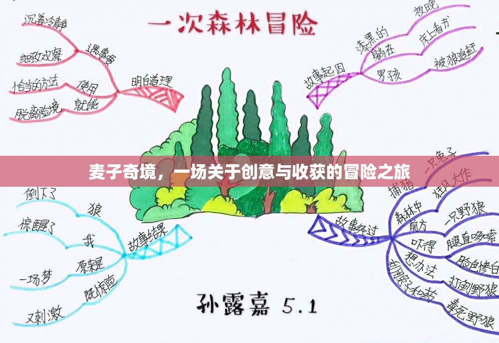 麥子奇境，創(chuàng)意與收獲的冒險之旅