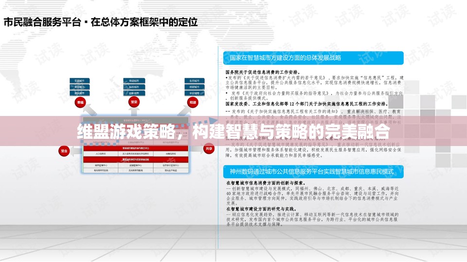 維盟游戲策略，構(gòu)建智慧與策略的完美融合