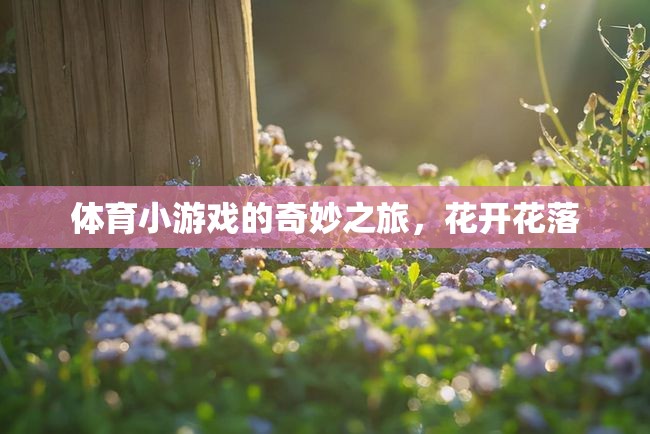 體育小游戲的奇妙之旅，花開花落的樂(lè)趣