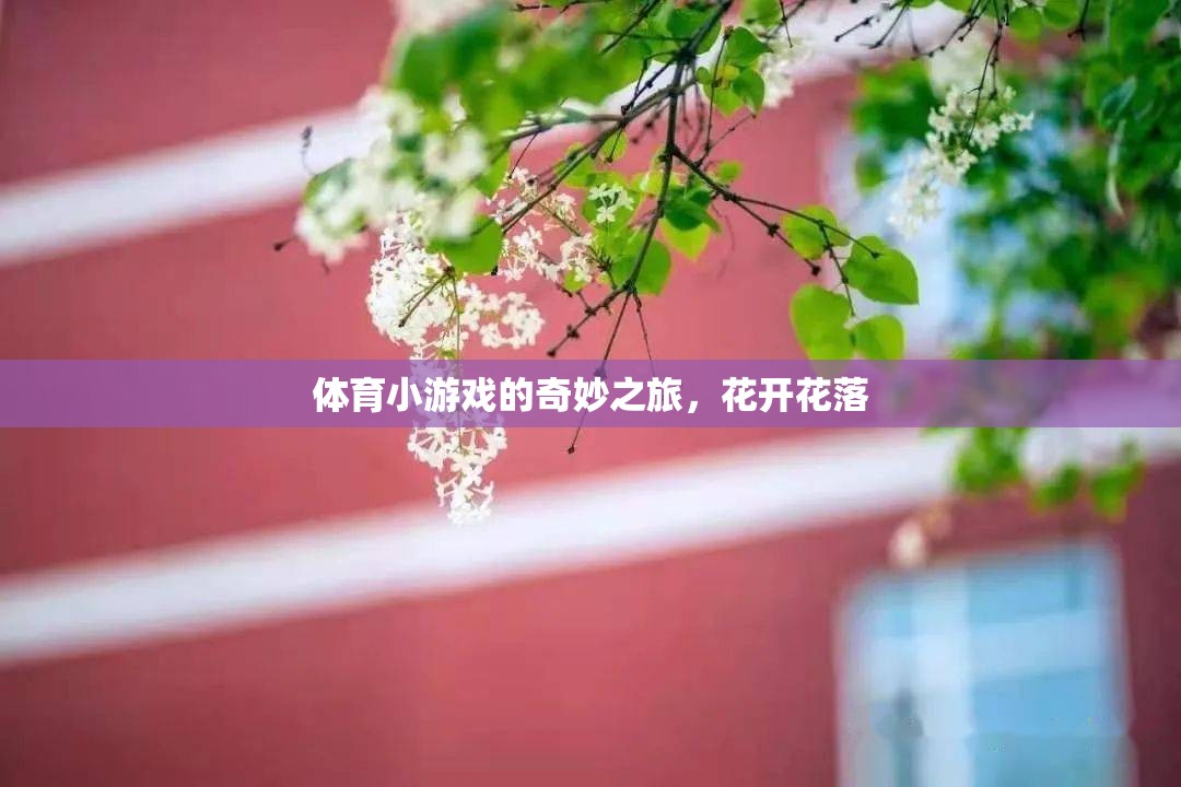 體育小游戲的奇妙之旅，花開花落的樂(lè)趣