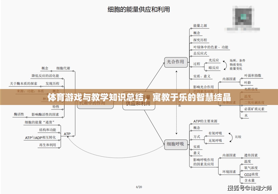 寓教于樂，體育游戲與教學(xué)知識的智慧結(jié)晶