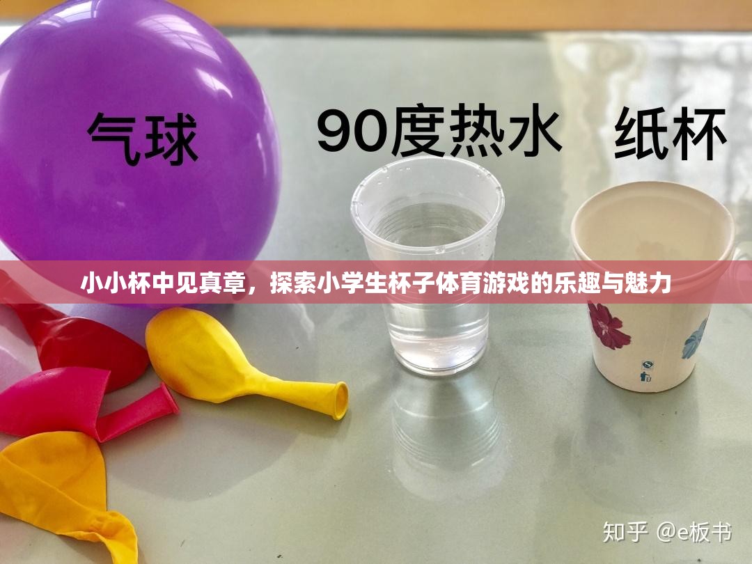 小小杯中見真章，探索小學(xué)生杯子體育游戲的樂趣與魅力