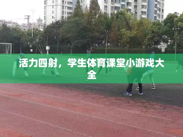 活力四射學(xué)生體育課堂小游戲精選