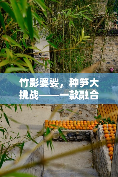 竹影婆娑，種筍大挑戰(zhàn)——自然與競技的完美融合