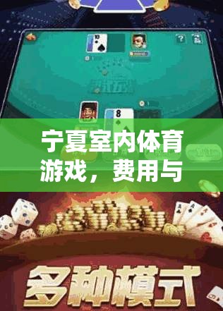 寧夏室內體育游戲，費用與樂趣的完美結合