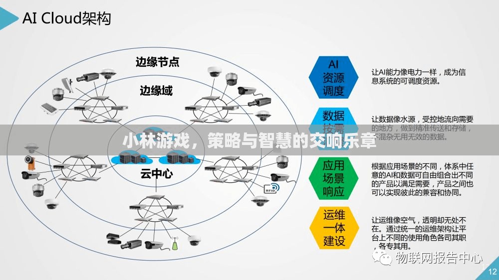 小林游戲，策略與智慧的交響樂(lè)章