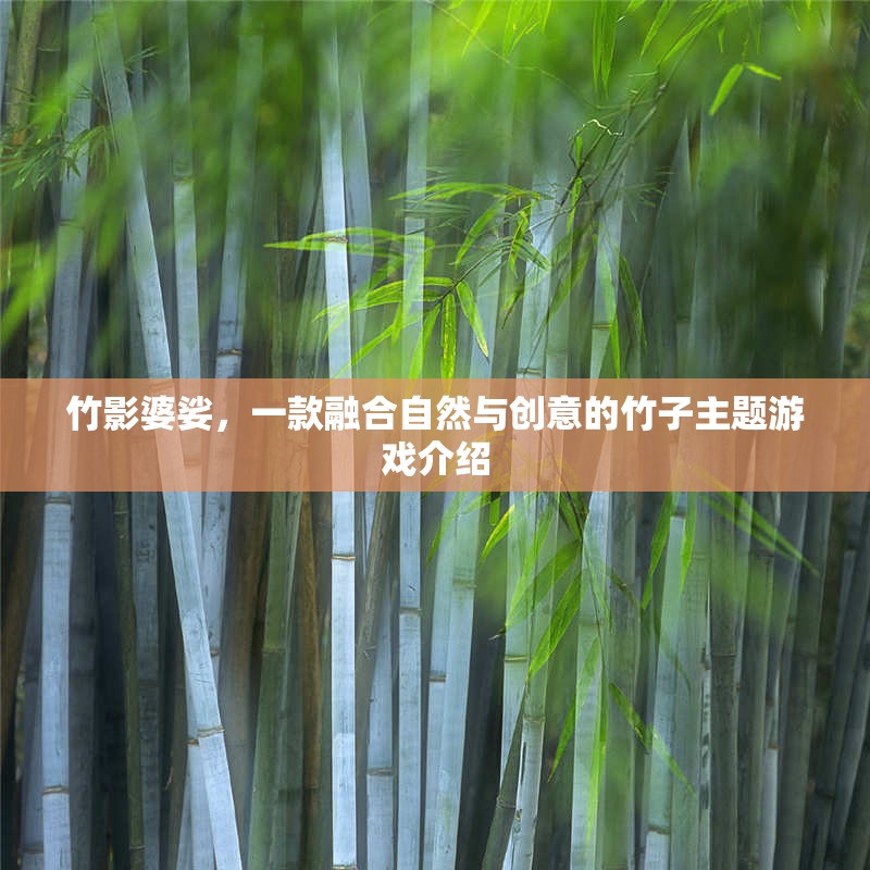 竹影創(chuàng)意，一款融合自然與創(chuàng)意的竹子主題游戲