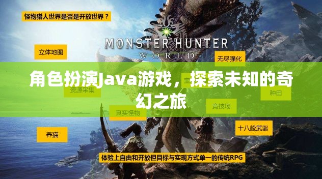 角色扮演Java游戲，探索未知的奇幻之旅