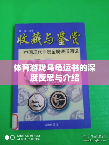 體育游戲?yàn)觚斶\(yùn)書(shū)的深度反思與介紹