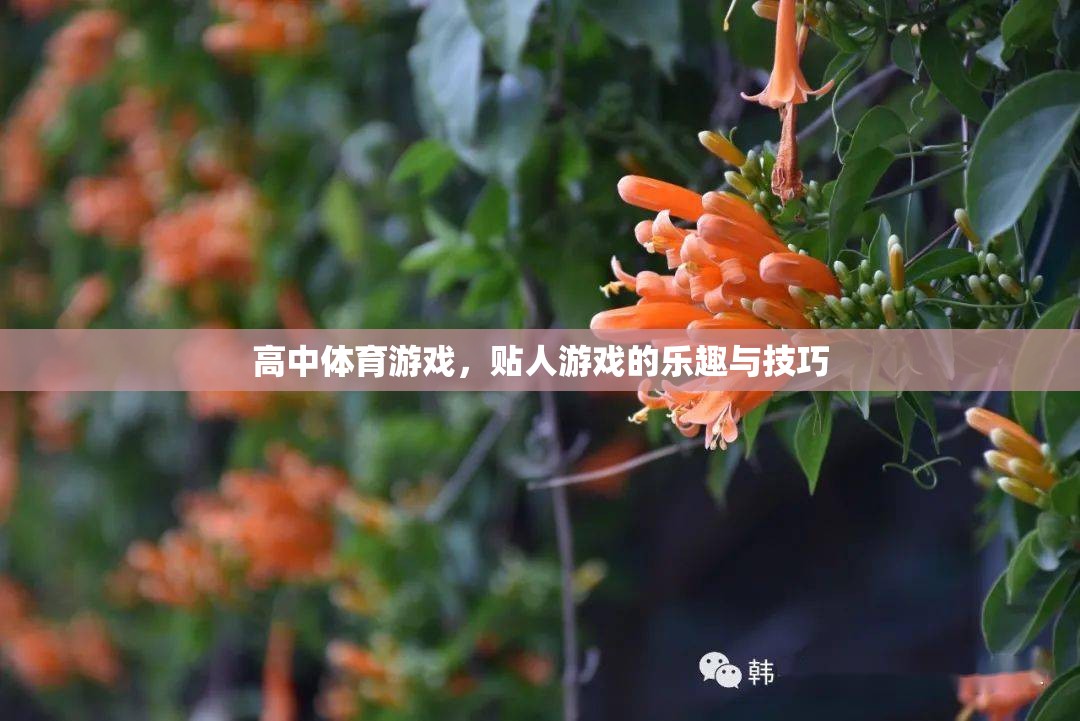 高中體育游戲，貼人游戲的樂趣與技巧