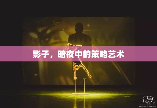 暗夜中的策略藝術(shù)，影子的魅力