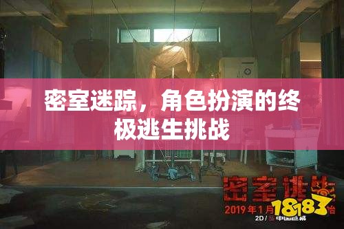 密室迷蹤，解鎖角色扮演的終極逃生挑戰(zhàn)