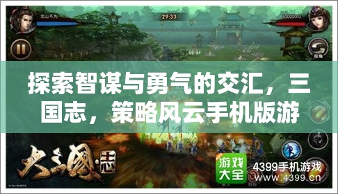 智勇交鋒，三國志策略風(fēng)云手機版游戲深度解析