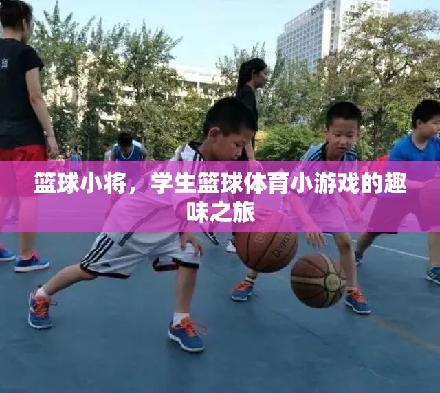 籃球小將，學(xué)生籃球體育小游戲的趣味之旅