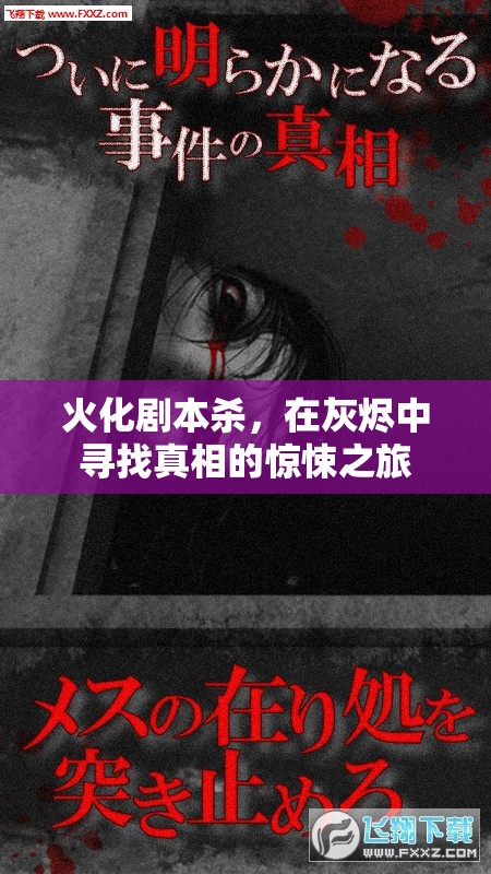 灰燼中的真相，火化劇本殺驚悚之旅