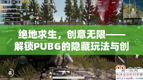 絕地求生，解鎖PUBG的隱藏玩法與創(chuàng)意模式