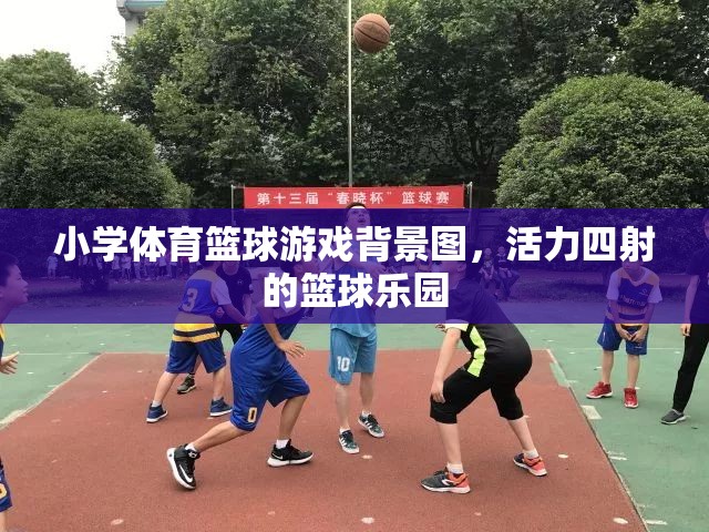 活力籃球樂園，小學(xué)體育的激情背景圖