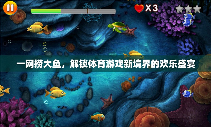 一網撈大魚，解鎖體育游戲新境界的歡樂盛宴