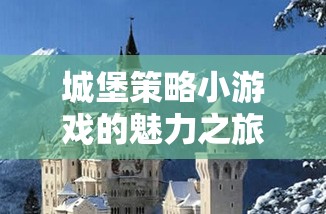 智慧與勇氣的較量，城堡策略小游戲的魅力之旅