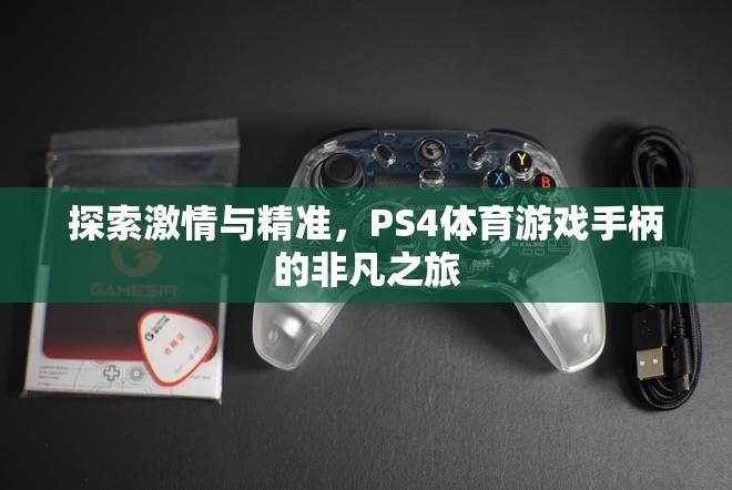 PS4體育游戲手柄，探索激情與精準(zhǔn)的非凡之旅