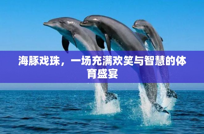 海豚戲珠，歡笑與智慧的體育盛宴