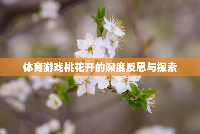 體育游戲桃花開(kāi)的深度反思與探索