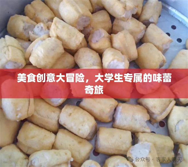 大學(xué)生美食創(chuàng)意大冒險(xiǎn)，解鎖味蕾的奇妙之旅