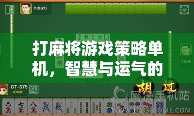 智慧與運(yùn)氣的碰撞，揭秘打麻將游戲策略的單機(jī)版