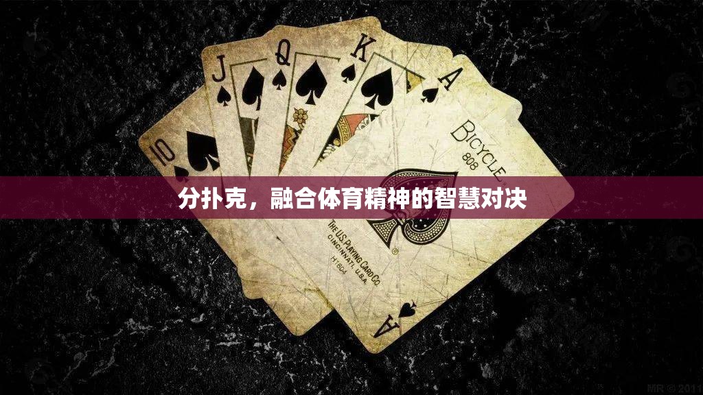 智慧與體育精神的碰撞，分撲克中的智慧對(duì)決